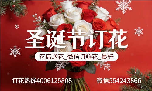 邢台新河县花店送花_微信订鲜花_圣诞节订花_最好? 邢台新河县花店