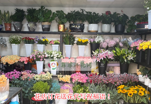 新河县花店订花送花代写祝福语!